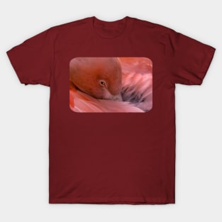 Flamingo T-Shirt